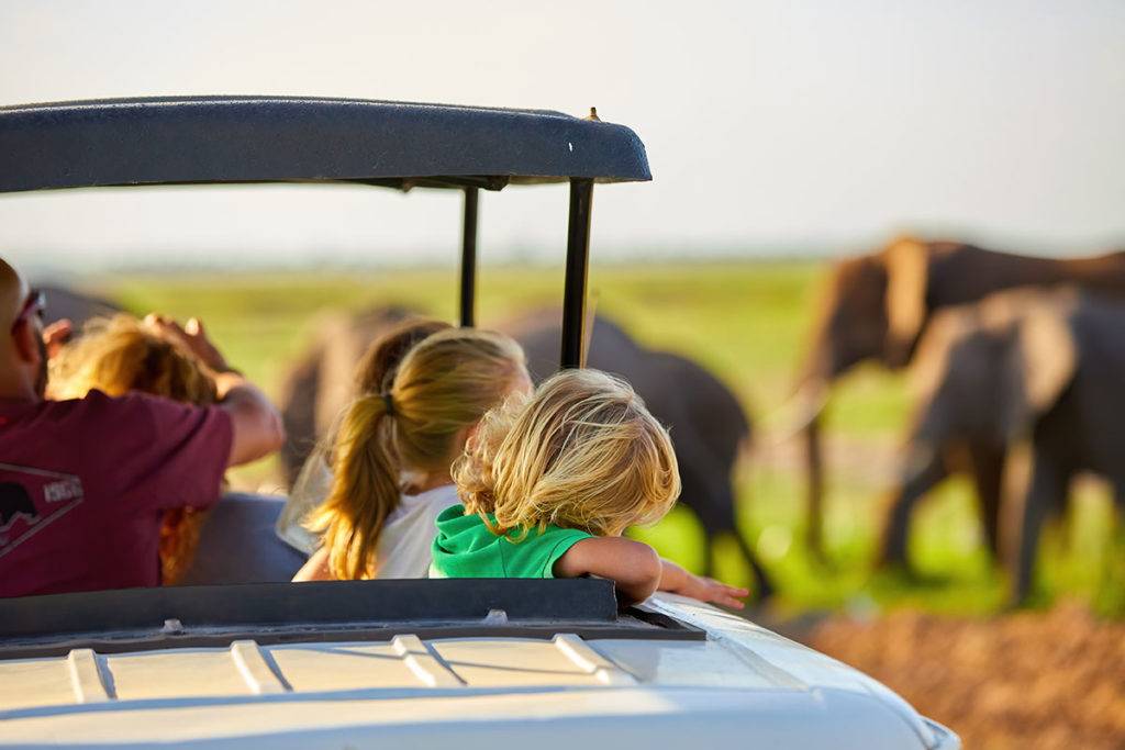 7 days tanzania family safari