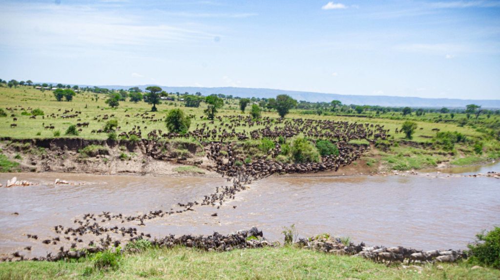when is the great migration in Tanzania ?