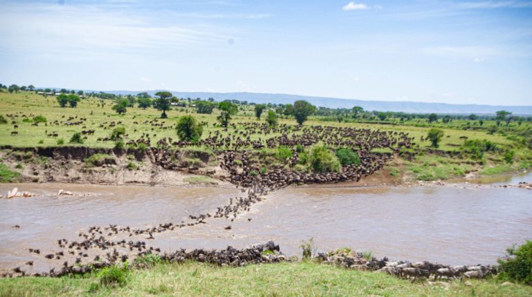 when is the great migration in Tanzania ?