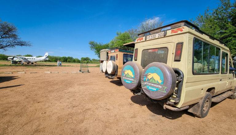 serengeti safari reviews