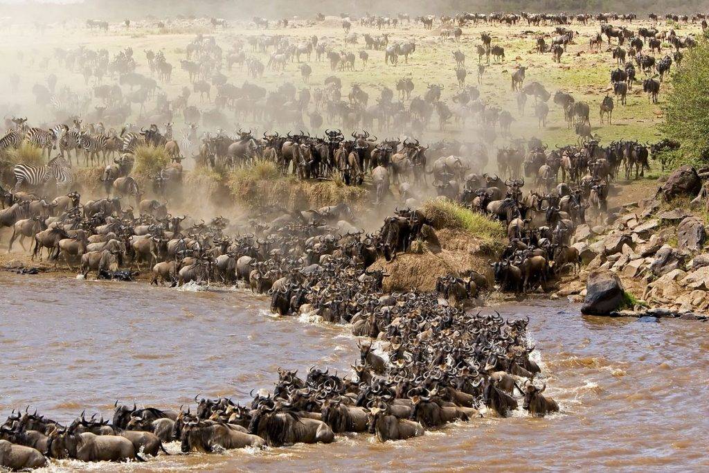 9 Days Tanzania Safari