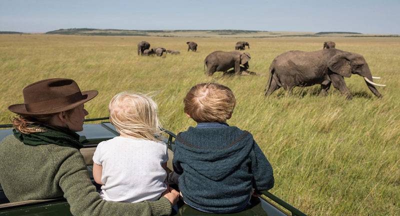 Family-safari