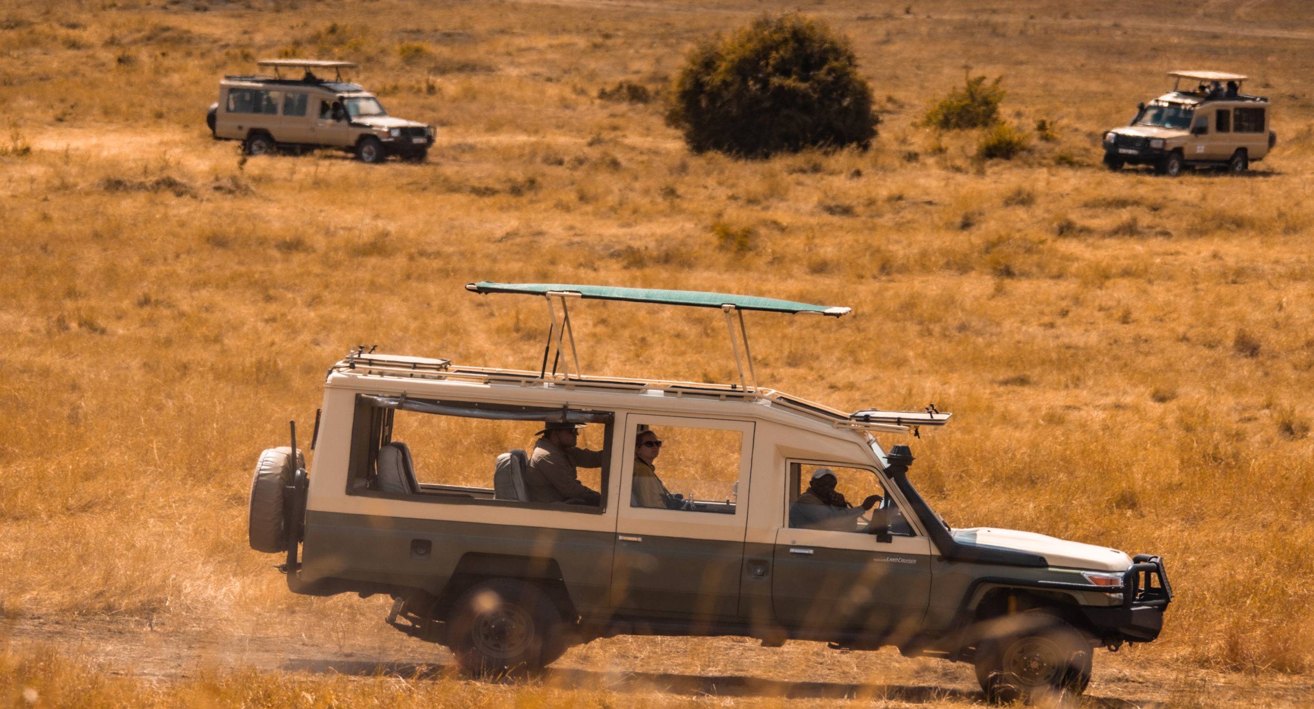 safari jeep on game drive