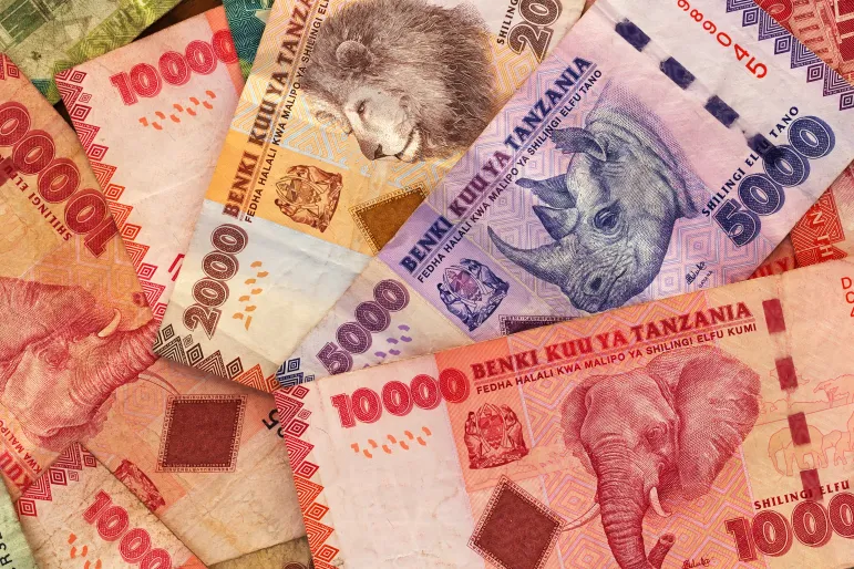 tanzania country currency