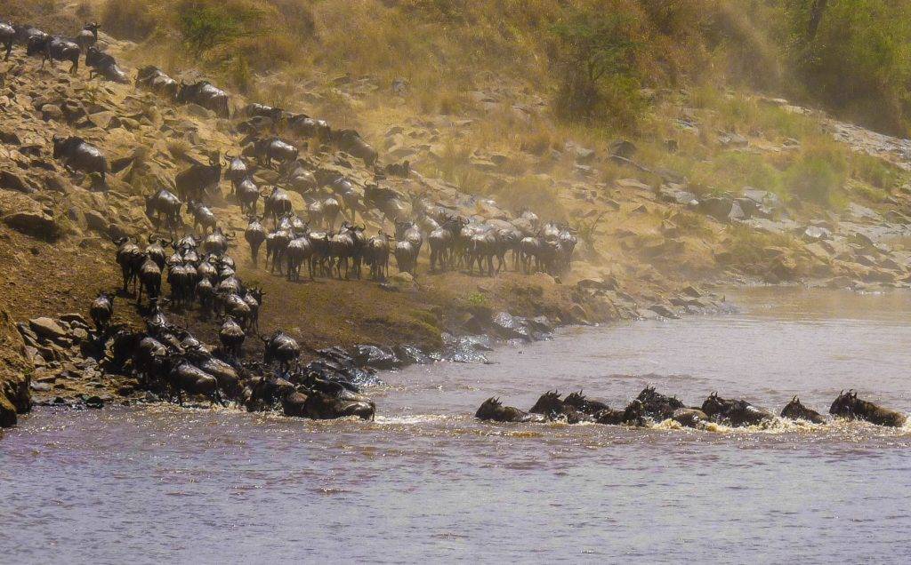 where can i see great migration in serengeti