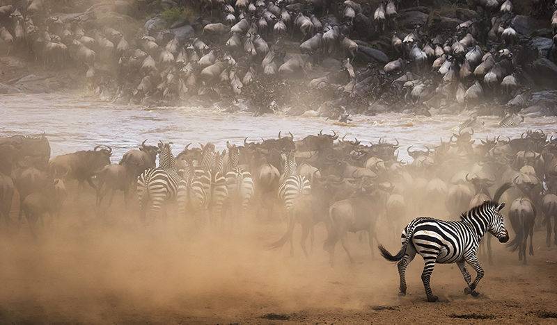 Where Does the Great Migration Start