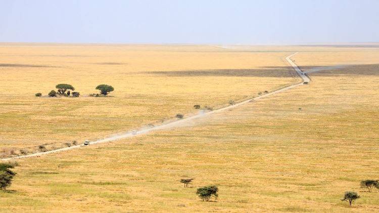 Serengeti weather in August