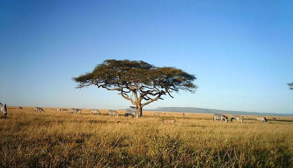 Serengeti weather in October
