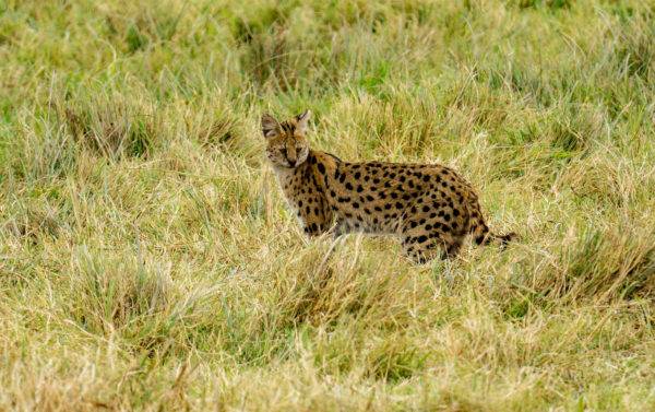 tanzania travel tips