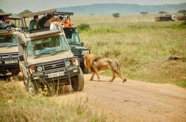 What is Tanzania Famous for