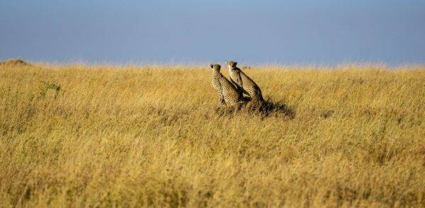 tanzania travel tips
