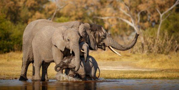 best season to visit Tanzania