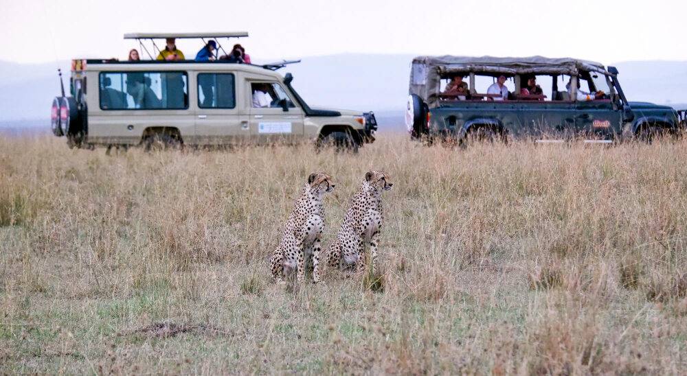 African family safari