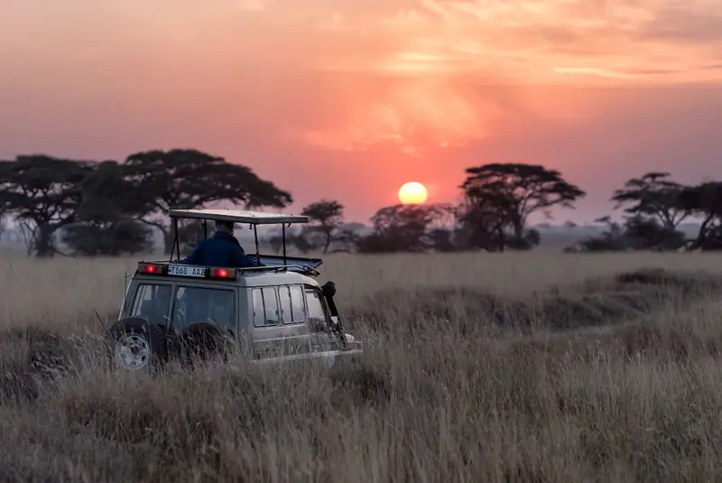 Safari vehicle on the savannah at sunset