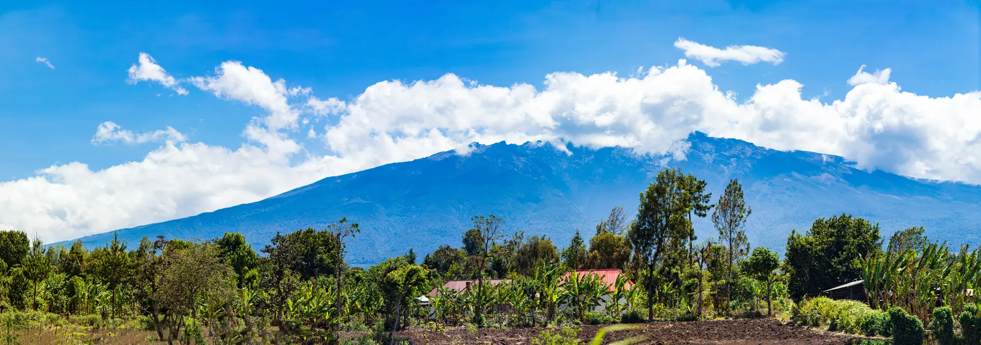 Mount Meru in Arusha