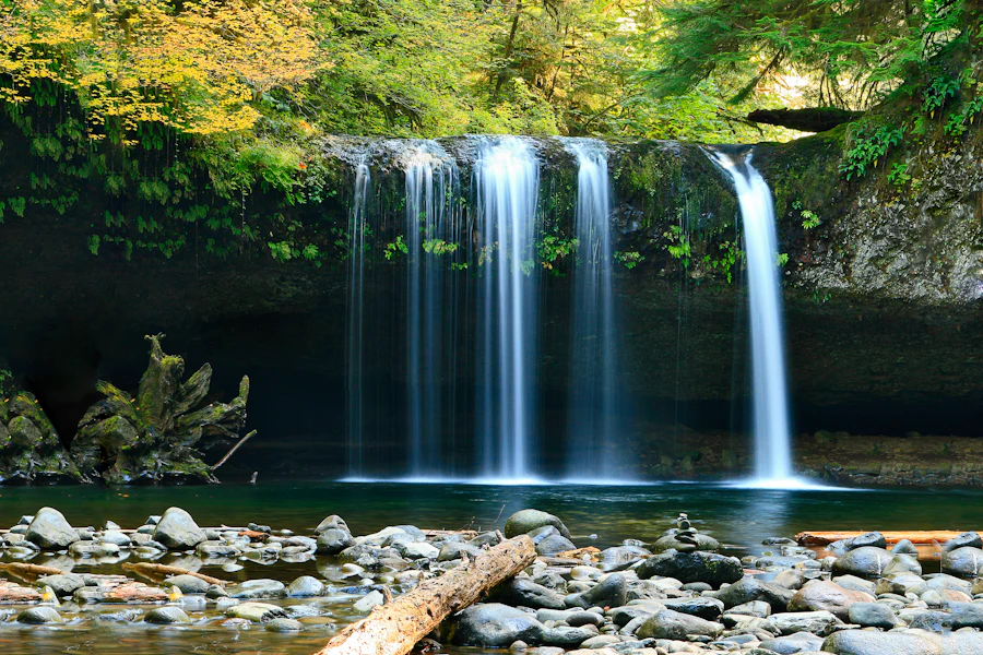 Waterfall falling into a rocky forest pool — Materuni Waterfalls & Coffee Tour