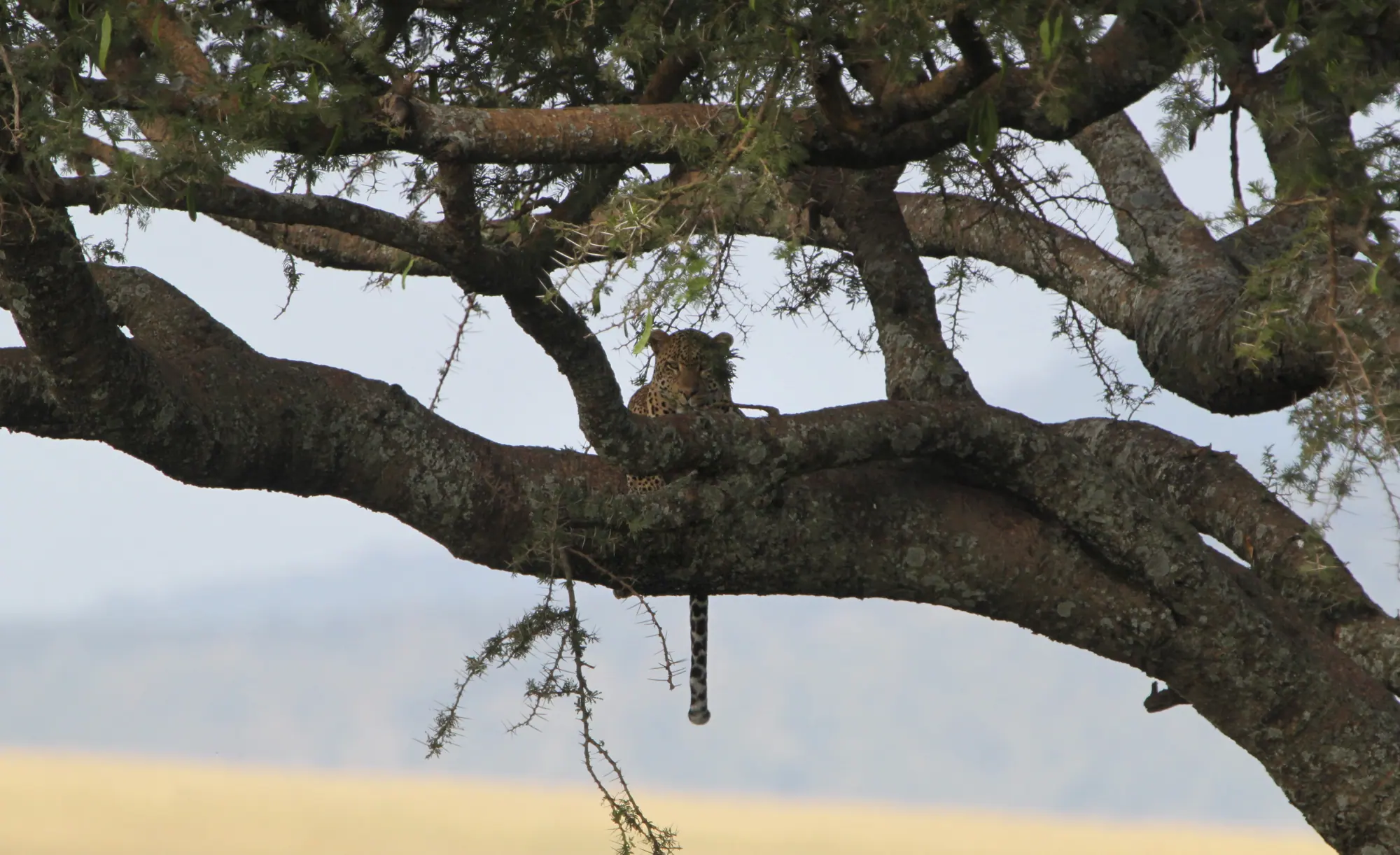 Serengeti National Park